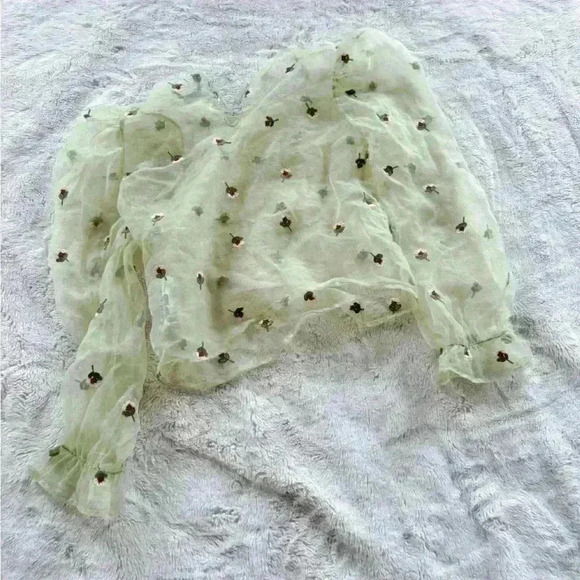 Zara Green Sheer Top size XS - Picture 3 of 5